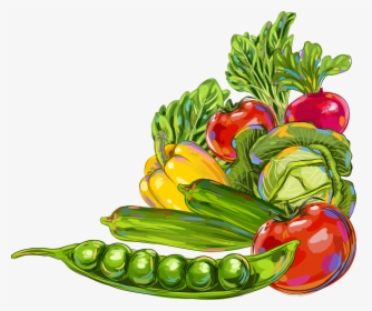 Vegetable Okra Fruit Illustration - Clip Art Fruits And Vegetables Border, HD Png Download, Free Download
