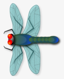 Make Your Own Dragonfly From Scratch *beginners* - Dragonfly, HD Png Download, Free Download