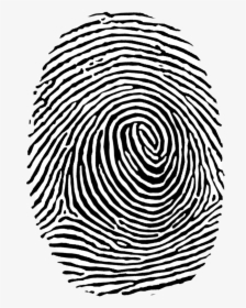 Fingerprint Clipart, HD Png Download, Free Download