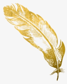 Transparent Feathers Cute - Gold Feather Pen Png, Png Download, Free Download