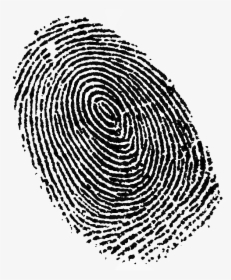Fingerprint Transparent Image - Fingerprint Png, Png Download, Free Download