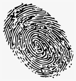 Png Fingerprint, Transparent Png, Free Download