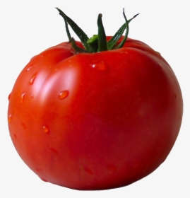 Tomato Png Pic, Transparent Png, Free Download