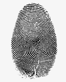 Fingerprint Live Scan - Transparent Background Fingerprint Png, Png Download, Free Download