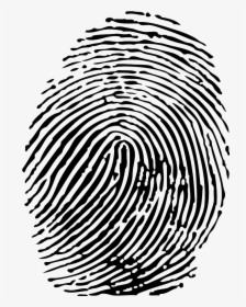 Fingerprint Png Download - Biometric Passport Sri Lanka, Transparent Png, Free Download