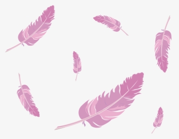 Pink Feathers Png , Png Download - Pink Feather Vector Png, Transparent Png, Free Download