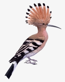 High Resolution Wallpaper - Hoopoe Bird Png, Transparent Png, Free Download