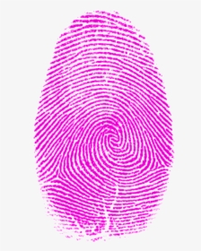 Pink Stuff Pinterest Printing - Fibonacci Sequence In Fingerprint, HD Png Download, Free Download