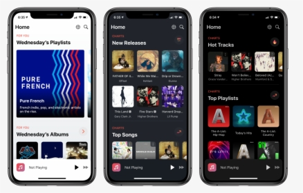 Apple Music Playlist Themes