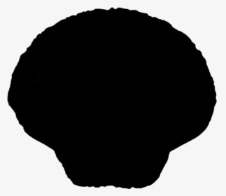 Transparent Seashell Png Cartoon - Circle, Png Download, Free Download