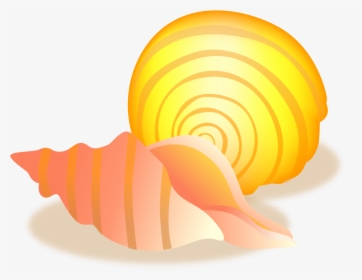 Conch Sea Snail Seashell - Shell, HD Png Download, Free Download