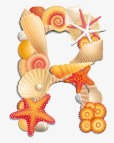 Seashells Clipart Beach Item - Alphabet Seashell Clipart Png, Transparent Png, Free Download