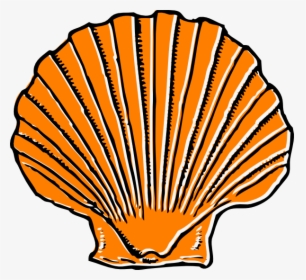 Shell Clipart, HD Png Download, Free Download