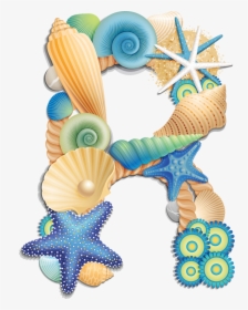 Seashell Alphabet, HD Png Download, Free Download