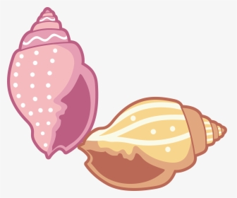 Transparent Sea Shell Clip Art - Sea Shell Cartoon Png, Png Download, Free Download