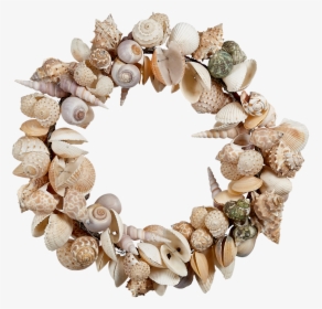 11 - Shell Wreath Png, Transparent Png, Free Download