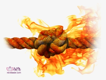 Fire Flames White Background, HD Png Download, Free Download
