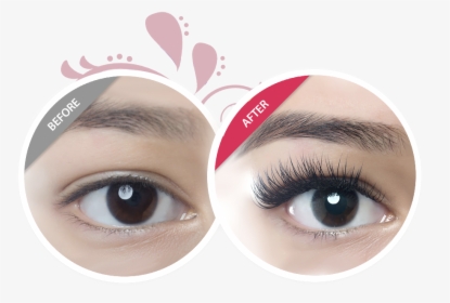Img - Amazing Lash Featherweight Lashes, HD Png Download, Free Download