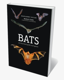 Transparent Flying Bats Png - Bats An Illustrated Guide To All Species, Png Download, Free Download