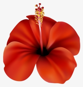 Red Flower Png Clip Art, Transparent Png, Free Download