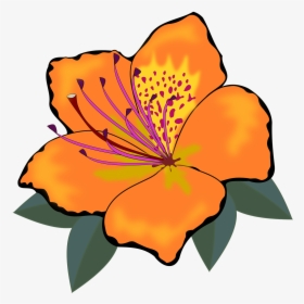 Orange Flower Clipart - Orange Flowers Clip Art, HD Png Download, Free Download