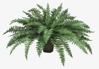 Nephrolepis Exaltata Fern Plant Leaf Artificial Flower - Artificial Fern In A Pot, HD Png Download, Free Download