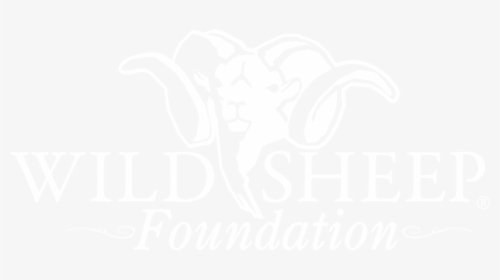 Wild Sheep Foundation - Wild Sheep Foundation Logo Alberta, HD Png Download, Free Download