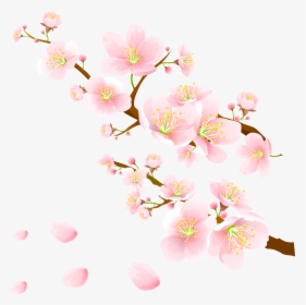 Sakura Pink Flowers Png Clipart - Pink Sakura Flower Png, Transparent Png, Free Download