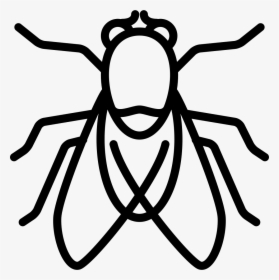 Big Fly - Drawing, HD Png Download, Free Download