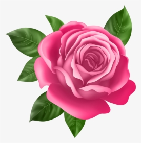Pink Rose Transparent Png Clip Art, Png Download, Free Download