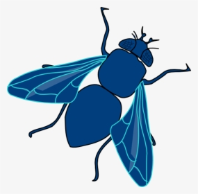 Download Fly Png Transparent Image - Fly Clip Art, Png Download, Free Download