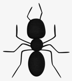 Transparent Ant Clip Art - Fly, HD Png Download, Free Download