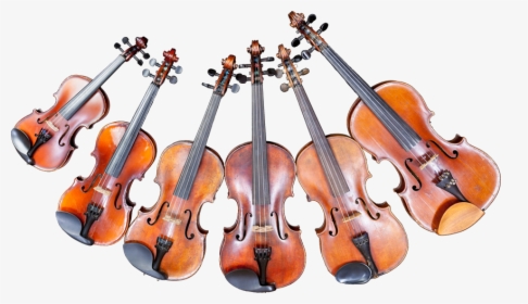 Classical Violins - Violins Png, Transparent Png, Free Download