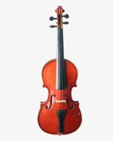 Violin Png Free Download - Giovanni Maria Del Bussetto Violin, Transparent Png, Free Download
