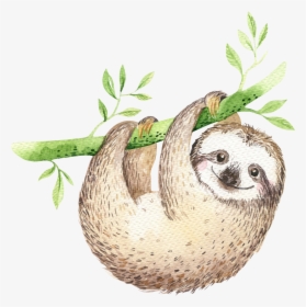Sloth Cartoon - Dont Give Up Posters, HD Png Download, Free Download