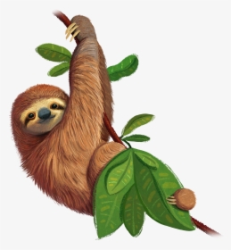 Three-toed Sloth - Wild Animal Gif Transparent, HD Png Download, Free Download