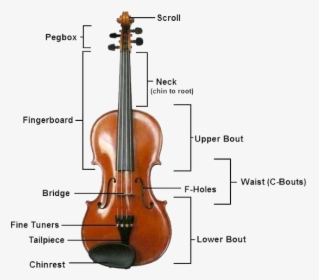 Parts Of A Violin, HD Png Download, Free Download