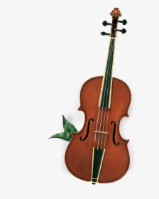 Transparent Cat And The Fiddle Clipart - Viola, HD Png Download, Free Download