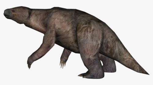 Sloth Png Transparent Images - Zoo Tycoon 2 Ground Sloth, Png Download, Free Download