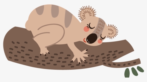 Koala Wombat Bear Cartoon Sloth - Cute Animals Sloth Design Png, Transparent Png, Free Download