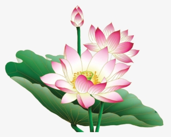 Lotus Free Desktop Background, HD Png Download, Free Download