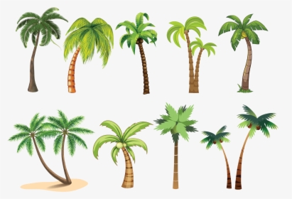 Transparent Palm Trees Clip Art - Palm Tree Clip Art, HD Png Download, Free Download