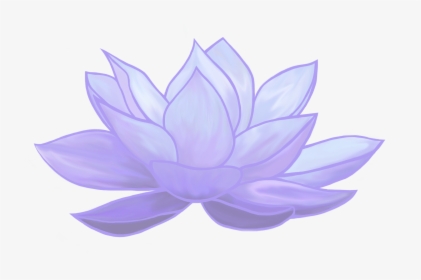 Blue Lotus Png - Sacred Lotus, Transparent Png, Free Download