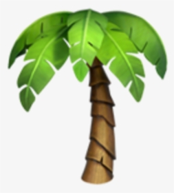 Palm Tree Clipart Emoji - Iphone Palm Tree Emoji, HD Png Download, Free Download