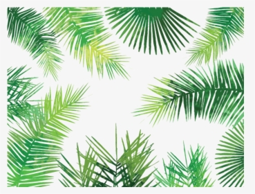 Watercolor Palm Leaves Png - Palm Leaves Pattern Png, Transparent Png, Free Download