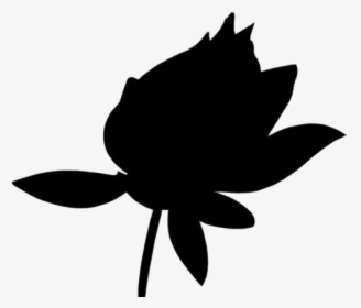 Lotus Png Transparent Images - Illustration, Png Download, Free Download