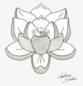 Download Lotus Tattoos Png Picture, Transparent Png, Free Download