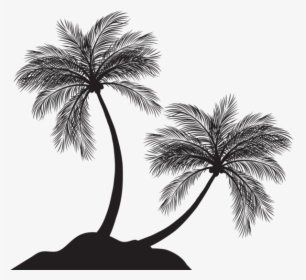 Transparent Palm Png - Tree Silhouette Palm Tree Png, Png Download, Free Download
