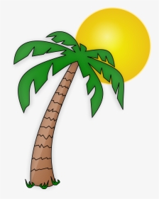 See Here New 2018 Free Pictures Download Palm Tree - Palm Tree Clipart Transparent Background, HD Png Download, Free Download