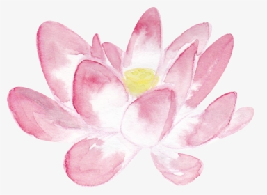Pink Lotus Png In Watercolor Large - Pink Lotus Png, Transparent Png, Free Download